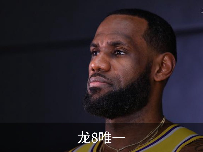 龙8唯一品牌故事